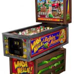 Whoe Nelli Pinball