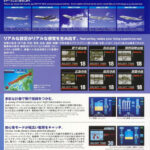 Landing High Japan Flight Simulator arcade game for hire and rent flyer page 4 from Arcade Party Rental Las Vegas Los Angeles San Francisco.